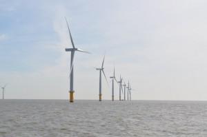 Offshore Wind Projects Clear Environmental Review