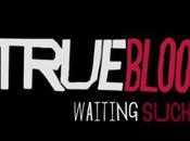 True Blood Season Spoilers: Online Spoiler Chat Talks Temps Wedding