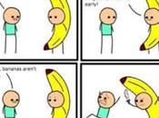 "you Take Those Bananas Shove Them Your Ass"