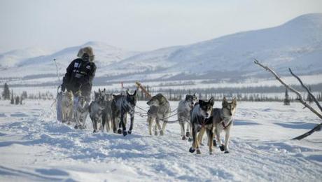 Iditarod 2012: Father Lead Way!