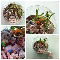 Magical DIY Terrarium Craft