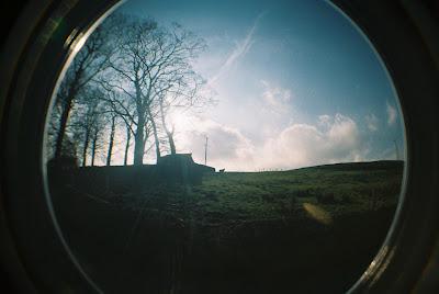 Life through a fisheye