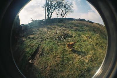 Life through a fisheye