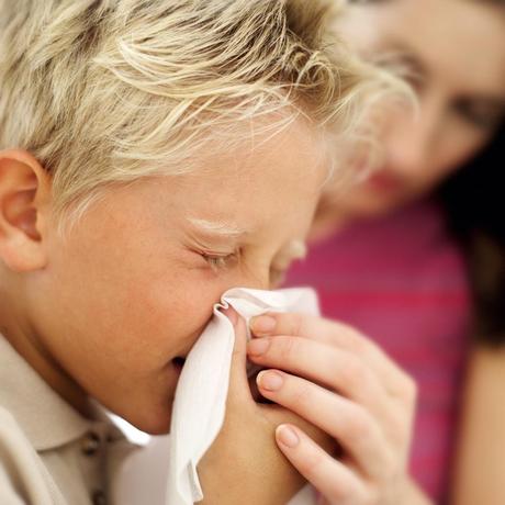 Are Dust Mites Causing Your Child’s Allergies?.