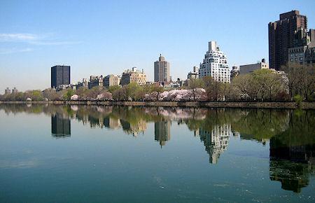 17 World Cities Reflected in Water