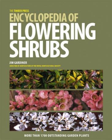 Review: Encyclopedia of Flowering Shrubs