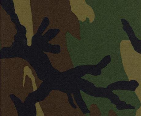 Camouflage Fabrics battle dress uniform | Brittany Dyeing and Printing Corporation