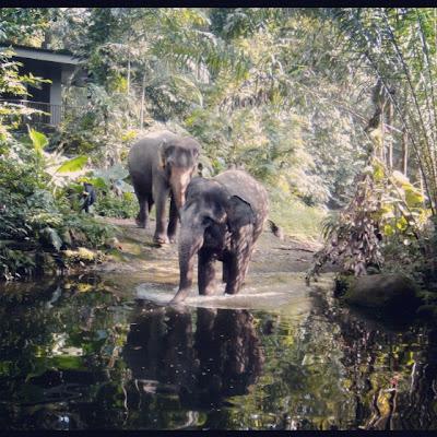 First Thing... Singapore