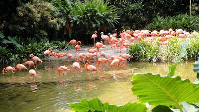 First Thing... Singapore