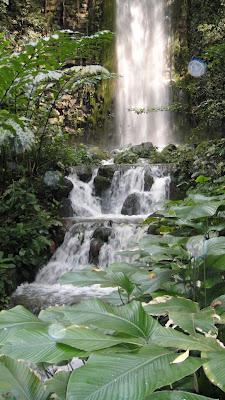 First Thing... Singapore