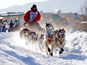Iditarod 2012: Off and Running!