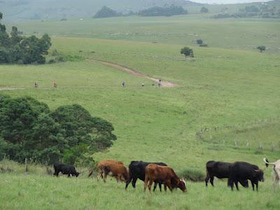 Pondo-Pedal – A Wild Coast Ride from Port Edward to Mtentu