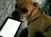Apple iPad Buzz: Dogs Barking Tablet
