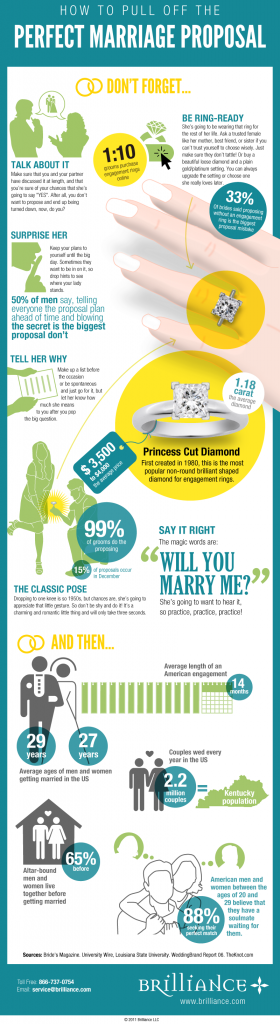Marriage Proposal Guide