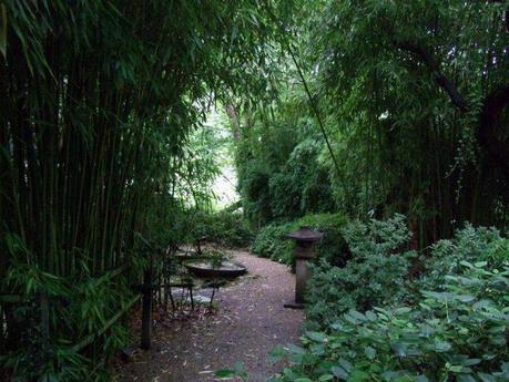 The Japanese Garden - Cornwall