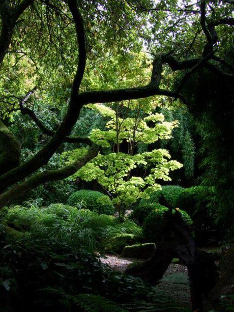 The Japanese Garden - Cornwall