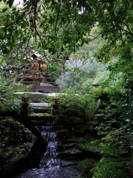 The Japanese Garden - Cornwall