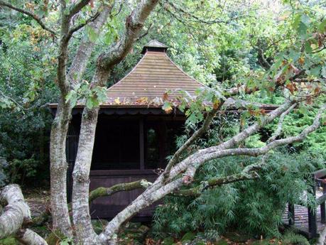 The Japanese Garden - Cornwall