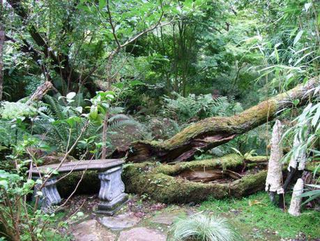 The Japanese Garden - Cornwall