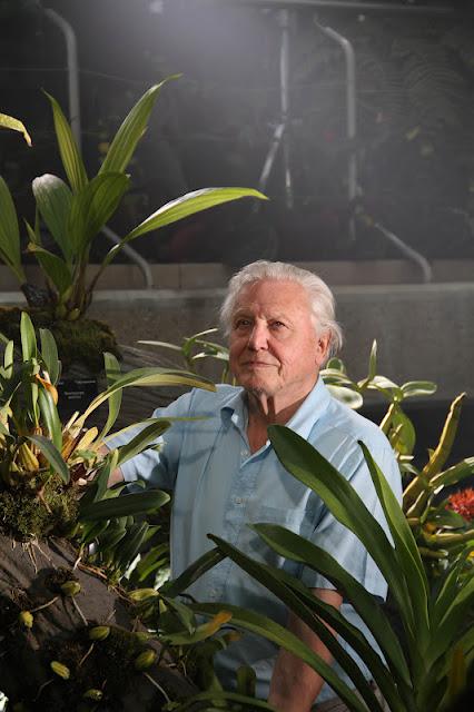 Attenborough announces new 3D plants series