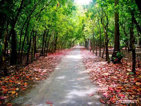 Olango Island : Biking Trip