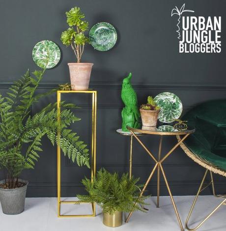This Aeonium Balsamiferum is my favorite plant, so I couldn't resist styling it in 3 different ways for this months Urban Jungle.