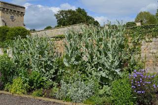 A midsummer lunch at Easton Walled Gardens