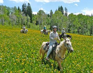 Where the Wildflowers Grow