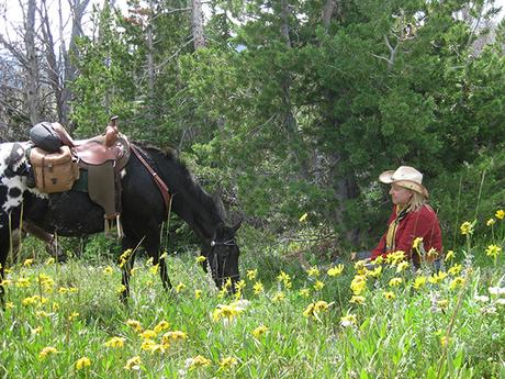 Where the Wildflowers Grow