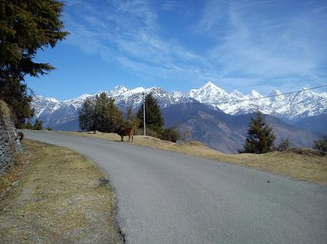 Panchachuli Peaks View