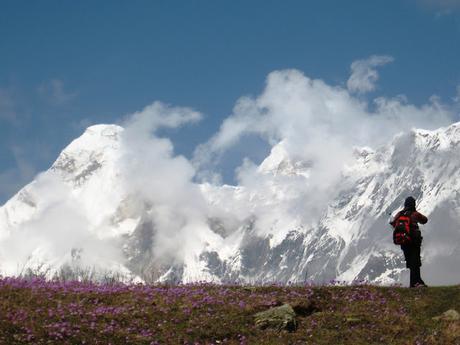 View of snow capped mountains and flowers in Munsiyari