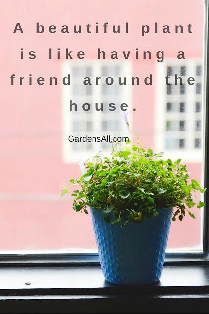 Best Gardening Quotes by Gardens All