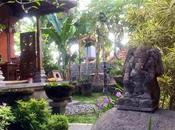 Travel Bali Diaries Ubud