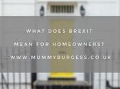 Will Brexit Affect Moving Plans?