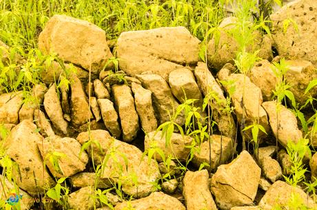 stones from the road way on the Camino Real de Panama