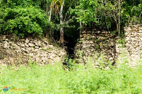 wall being reclaimed by the jungle near el Camino Real de Panama