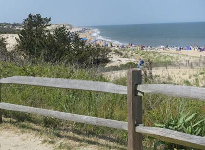 WALK IN THE DUNES: Cape Henlopen State Park, Delaware