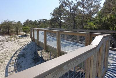 WALK IN THE DUNES: Cape Henlopen State Park, Delaware