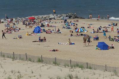 WALK IN THE DUNES: Cape Henlopen State Park, Delaware