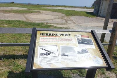 WALK IN THE DUNES: Cape Henlopen State Park, Delaware