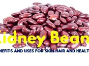 Kidney Beans Benefits Uses Skin Hair Health