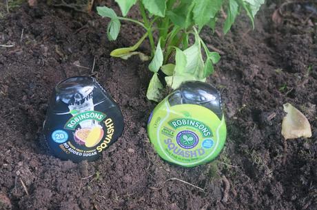 Encouraging Kids To Get Active & #EnjoyMoreWater