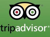 TripAdvisor Effect: Much Influenced Reviews