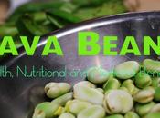 Health, Nutritional Medicinal Benefits Fava Beans