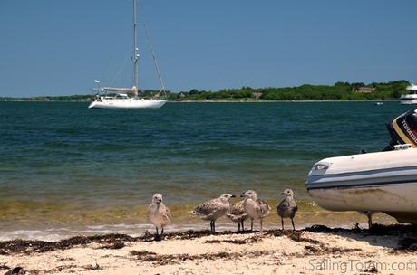 1 anchored fishers island