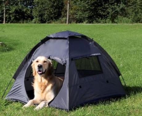 Cool Down Your Dog By Putting a Tent Out