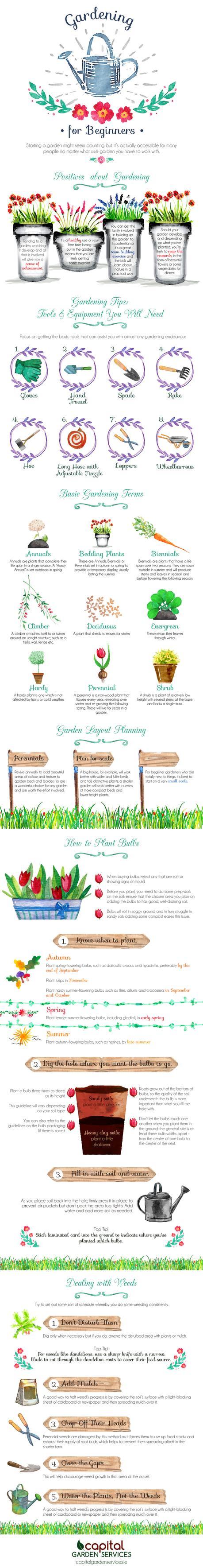 Gardening tips for beginners - Infographic