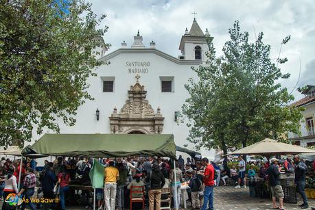 stalls in Cuenca's best flower market