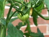 Carrying Face Adversity