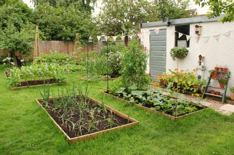 june veg garden